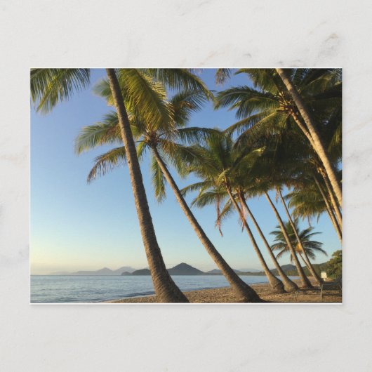Palmen und Meer Postkarte (Vorderseite)