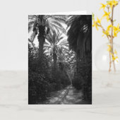 Palmen und Orangenbäume nähern sich Desert, 1966 Karte (Gelbe Blume)