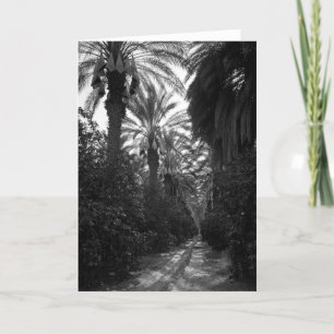 Palmen und Orangenbäume nähern sich Desert, 1966 Karte