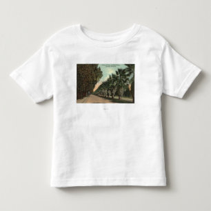 Palmen-und Pfeffer-Bäume neben Allee Kleinkind T-shirt