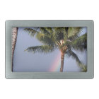 Palmen und Regenbogen