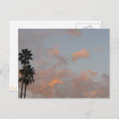 Palmen und rosafarbene Wolken Blanke Postkarte (Vorne/Hinten)