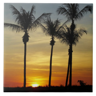 Palmen und Sonnenuntergang, Mindil Beach Fliese