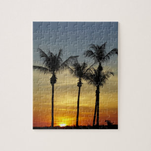 Palmen und Sonnenuntergang, Mindil Beach Puzzle