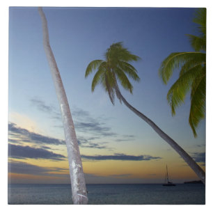 Palmen und Sonnenuntergang, Plantation Island Reso Fliese