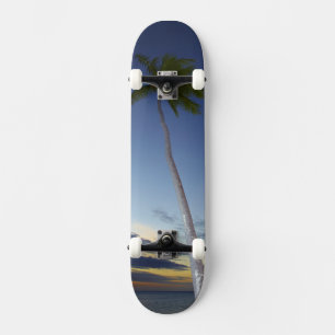 Palmen und Sonnenuntergang, Plantation Island Reso Skateboard