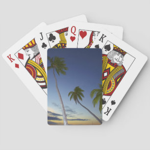 Palmen und Sonnenuntergang, Plantation Island Reso Spielkarten