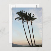 Palmen und Sonnenuntergang Postkarte (Vorne/Hinten)