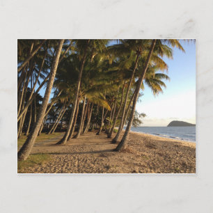 Palmen und Strandpostkarte Postkarte