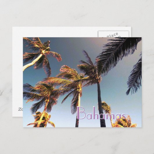 Palmen und Vintage Wirkung Postkarte (Vorne/Hinten)