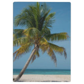 Palmen und weißer Sandstrand 2 Klemmbrett (Rückseite)