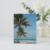 Palmen und weißer Sandstrand Postkarte (Stehend Vorderseite)