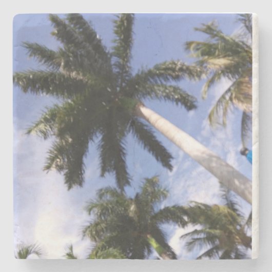 Palmen Untersetzer (Vorderseite)