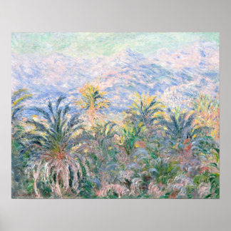 Palmen von Claude Monet in Bordighera (1884) Poster