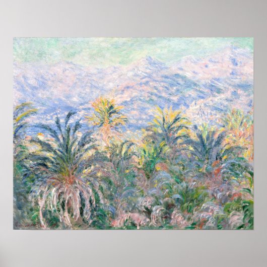 Palmen von Claude Monet in Bordighera (1884) Poster (Vorne)