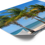 Palmen von Florida Poster (Ecke)