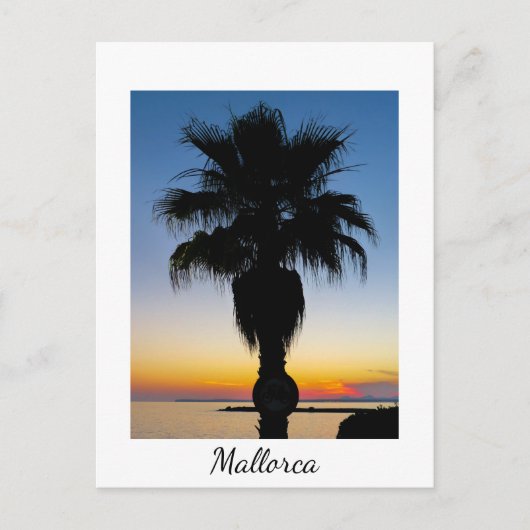Palmen von Mallorca im Sonnenuntergang Postkarte (Vorderseite)