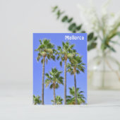 Palmen von Mallorca Postkarte (Stehend Vorderseite)
