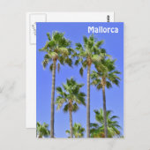 Palmen von Mallorca Postkarte (Vorne/Hinten)