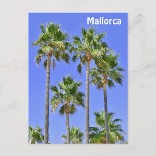 Palmen von Mallorca Postkarte (Vorderseite)