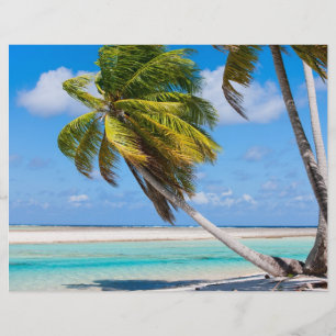Palmenbaum am Meer Flyer