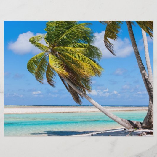 Palmenbaum am Meer Flyer (Vorne)