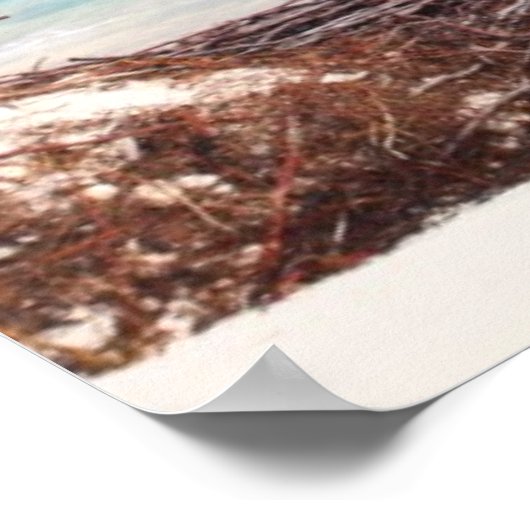 Palmenbaum am Meer Poster (Ecke)