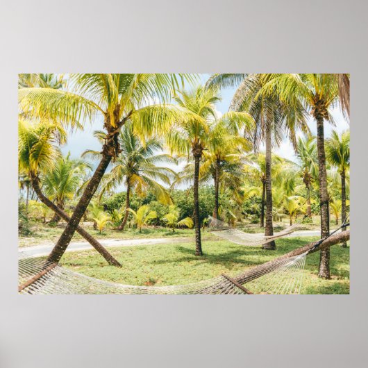 Palmenbaum am Morgen Poster (Vorne)