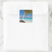 Palmenbaum am schönen weißen Sandstrand Quadratischer Aufkleber (Tasche)