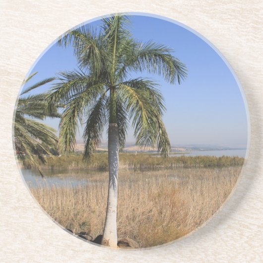 Palmenbaum am See von Galiläa in Israel, Untersetz Getränkeuntersetzer (Vorne)
