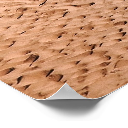 Palmenbaum am Strand am Morgen Poster (Ecke)