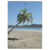 Palmenbaum am Strand Klemmbrett (Rückseite)