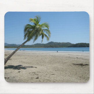 Palmenbaum am Strand Mousepad