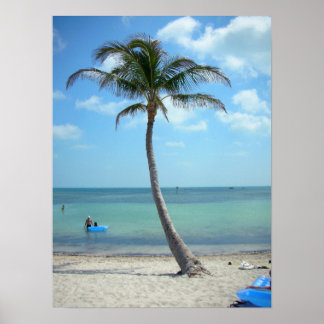 Palmenbaum am Strand Poster