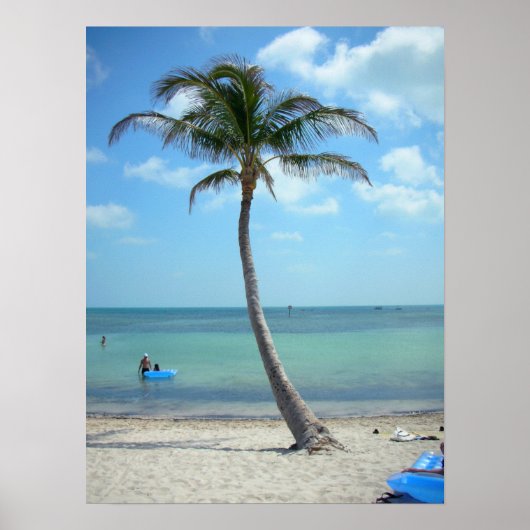 Palmenbaum am Strand Poster (Vorne)