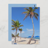 Palmenbaum am Strand Postkarte (Vorne/Hinten)