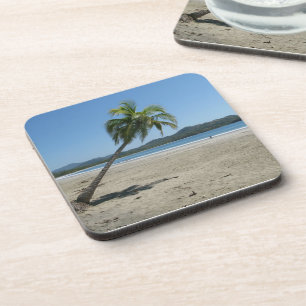 Palmenbaum am Strand Untersetzer