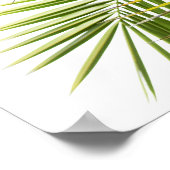 Palmenbaum Blätter tropische Natur Foto Poster (Ecke)
