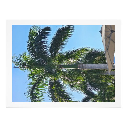 Palmenbaum Druck (Vorne)