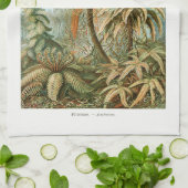 Palmenbaum Ernst Haeckel Geschirrtuch (Gefaltet)