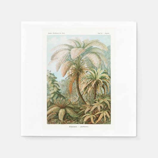 Palmenbaum Ernst Haeckel Serviette (Vorderseite)