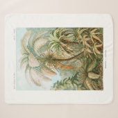 Palmenbaum Ernst Haeckel Sherpadecke (Vorderseite (Horizontal))