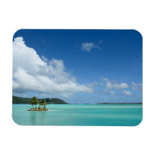 Palmenbaum im rechteckigen Magneten der Bora Bora Magnet