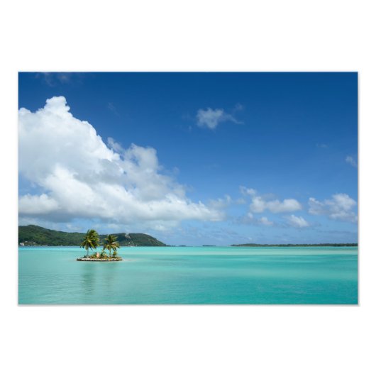 Palmenbaum in Bora Bora Foto drucken (Vorne)
