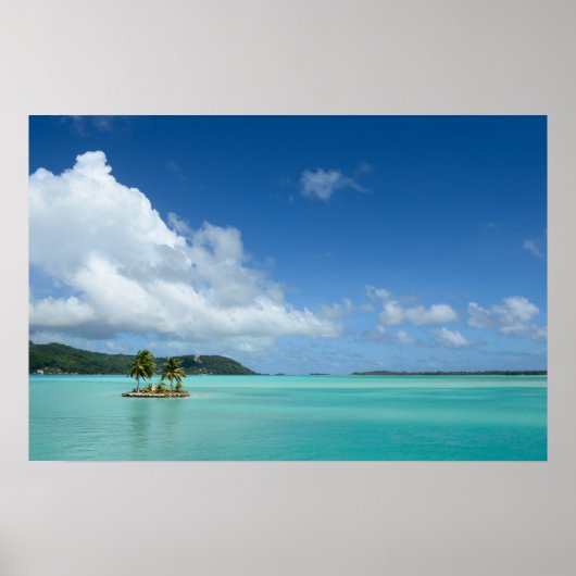 Palmenbaum in Bora Bora Poster (Vorne)