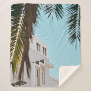 Palmenbaum in der Nähe von weißem Beton Gebäude Sherpadecke