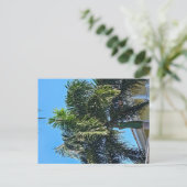 Palmenbaum Postkarte (Stehend Vorderseite)