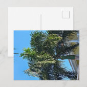 Palmenbaum Postkarte (Vorne/Hinten)