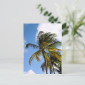 Palmenbaum Postkarte (Stehend Vorderseite)
