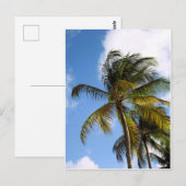 Palmenbaum Postkarte (Vorne/Hinten)